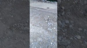 VID_20260809_174512.mp4