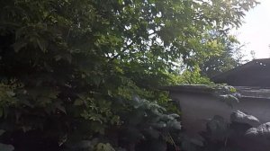 🍓Ягода малинка💕
