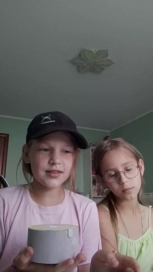 две дибилуи это силуэт