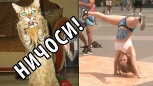 ЮМОР И ЧЁТКИЕ ПРИКОЛЫ 🤣😂😅