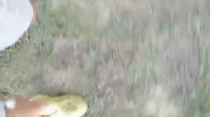1000087234.mp4