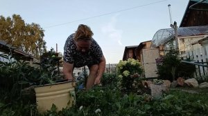 НАШ ВЕЧЕР В РАБОТЕ.