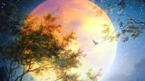 Рекомендации по солнечным и лунным дням на  10  11 12  августа  2026г