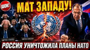 ШОК! Россия уничтожила планы НАТО в ООН за ОДНУ СЕКУНДУ!