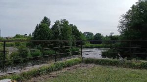 ПОЙМАЛ ЗОЛОТУЮ РЫБКУ