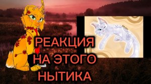РЕАКЦИЯ НА ЛЕДЯНУЮ РОСУ! /Надеюсь тапками не закидают