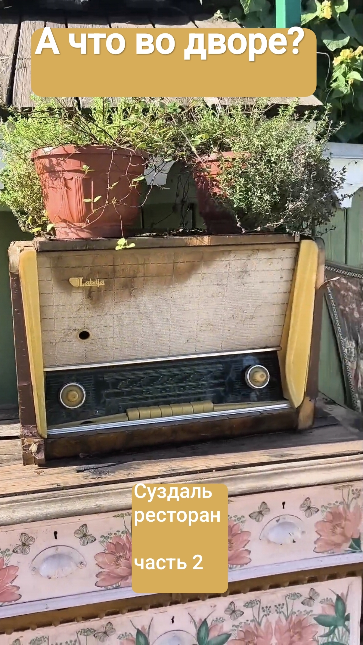 Генеральска дача Суздаль ресторан. Что во Дворе.