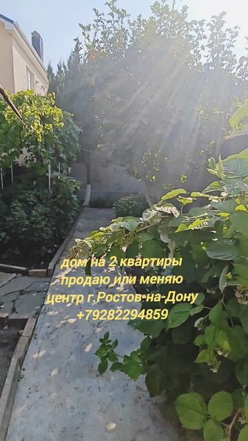 1000402529.mp4