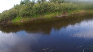 Щука Атакует Лягушку. Рыбалка в траве