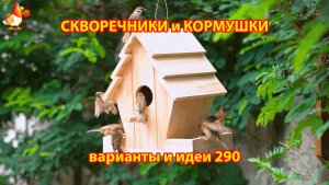 Скворечники и кормушки своими руками для птиц (290) 🪚🪛🔨 Идеи для дачи и сада пошагово ❣️
