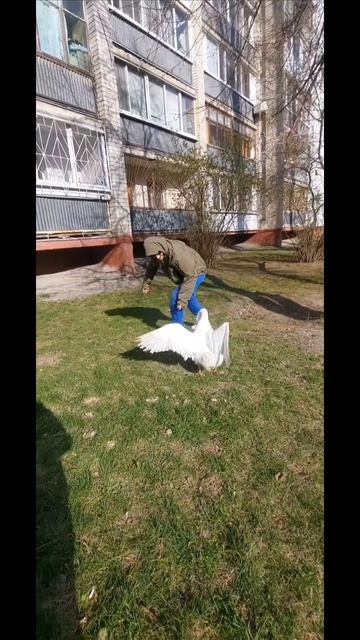 Я могу вот так вау!!! (часть2)
