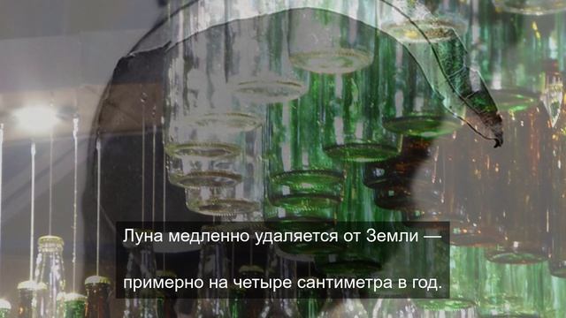 Жизненный путь тяжелого цветка 6