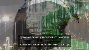 Жизненный путь тяжелого цветка 6