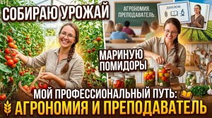Собираю томаты, Мариную их.
Мой профессиональный путь Агрономия и Педагогика