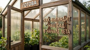 ЛЕТО В ТЕПЛИЦЕ: ЗДОРОВЫЕ ПОМИДОРЫ И ДЕРЕВЬЯ ПОД ЗАЩИТОЙ. ЧАСТЬ 1. 2026-06-18