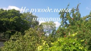 Не рукодельные истории
