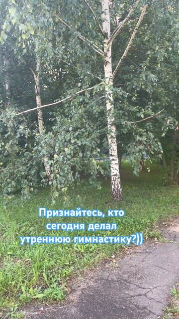 В тонусе