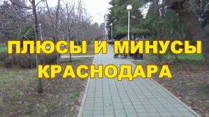 Наши плюсы и минусы жизни в Краснодаре когда Прожили 2 года