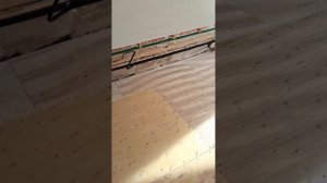 1000066601.mp4 (Собака слушает о установ. э/бруса, уголков на окно, разбор. с/лесов в доме А-фрейм)