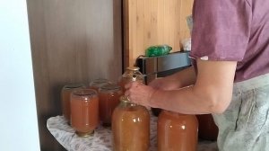 Пыхчу на огороде.Наслаждаюсь летом.Встреча на трассе.