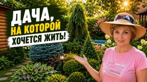 НА своей ДАЧЕ у НАС всегда ОТЛИЧНОЕ НАСТРОЕНИЕ! Отсюда НЕ ХОЧЕТСЯ УЕЗЖАТЬ!