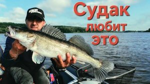 КРУПНЫЙ СУДАК НА МАЛЕНЬКУЮ ПРИМАНКУ