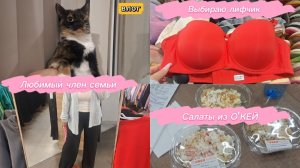 ПРОБУЮ САЛАТЫ ИЗ О'КЕЙ😯 ВЫБИРАЮ НИЖНЕЕ БЕЛЬЕ В КИТАЙ ШОПЕ🧐