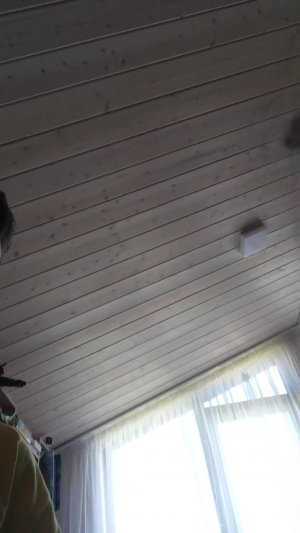 подпишись