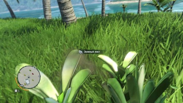 прохождение FarCry 3 часть 5 без комментариев