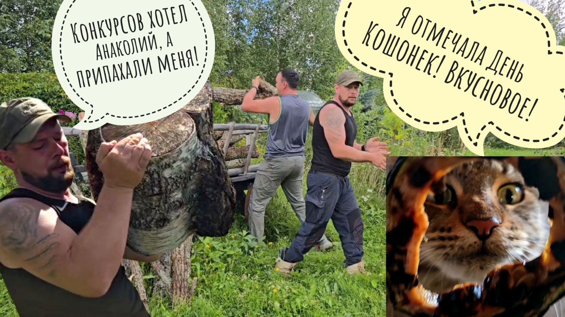 Кошка Морошка отъела у кабачков серединки! Конкурсы для любимого друга Артёма - они сами напросились