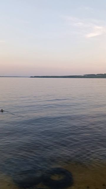 пляжный Вайб. и утки ушли в закат!!