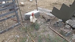 Вот о такой жизни я и мечтала...