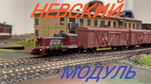 поезда Невского модуля