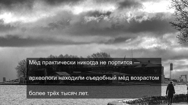 Жизненный путь тяжелого цветка 9