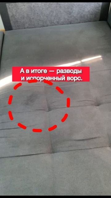 Химчистка дивана от кошачьей мочи#Химчистка мягкой мебели Чистый вид
