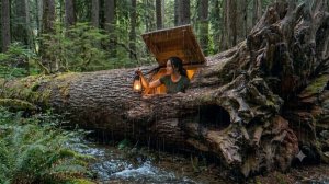 Она построила тайное убежище внутри гигантского дерева — невероятное выживание в одиночку