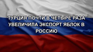 Турция почти в четыре раза увеличила экспорт яблок в Россию