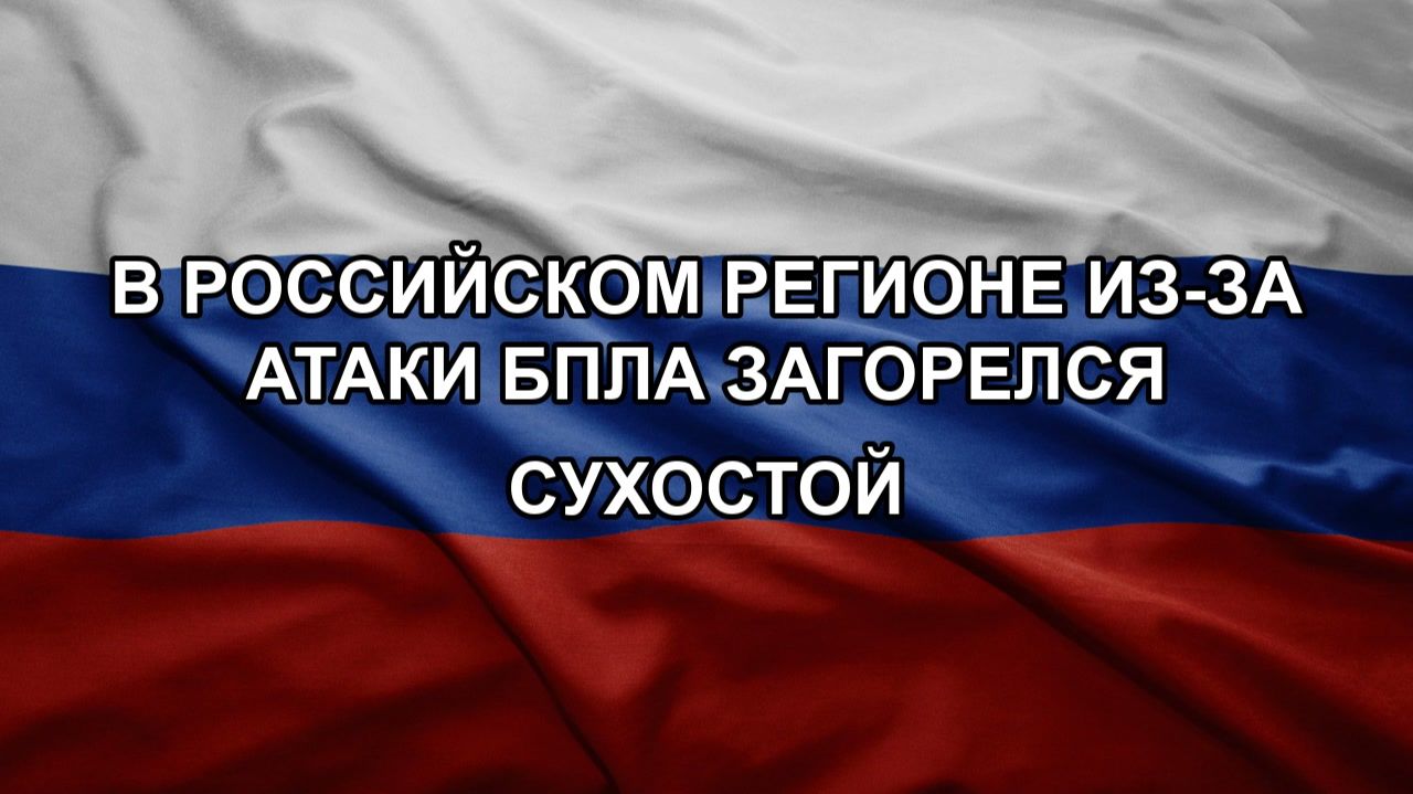В российском регионе из-за атаки БПЛА загорелся сухостой
