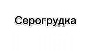 успокойся....