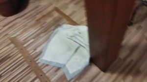 мой дом