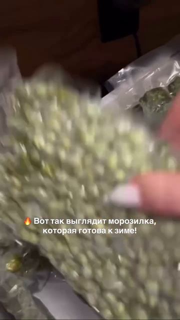 Вакуумирование овощей