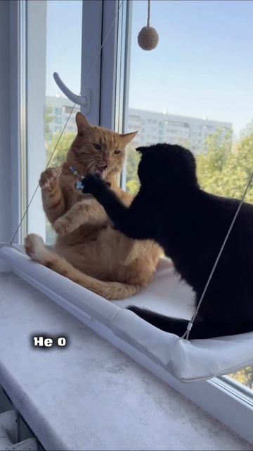 монополия