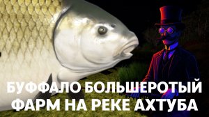 ИДЕМ НА РЫБАЛКУ #12 | БУФФАЛО НА АХТУБЕ | ФАРМ СЕРЕБРА | РУССКАЯ РЫБАЛКА 4