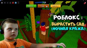 Играю в Роблокс : Вырастить сад (ночная кража)