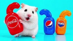 МИССИЯ ПУШИСТИКА ВЫПОЛНИМА! 💥 Сможет ли отважный хомячок выбраться из яркого лабиринта?