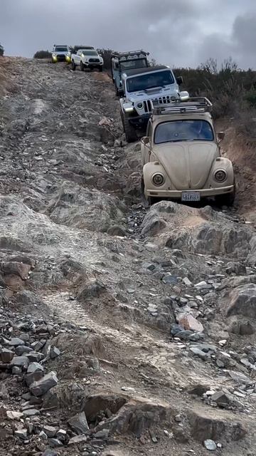Останутся только самые стойкие