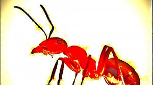 Бесхозный врач вас «вылечит» 😈 | simple ants