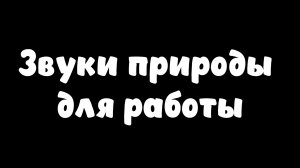 Атмосфера тропического леса. Звуки природы для работы