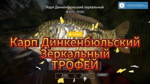 оз.Медное-Карп динкенбюльский зеркальный трофейный