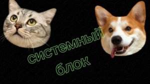 делаю зависающий системный блок, с Windows dert 45